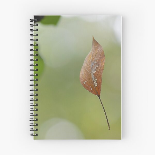 Item preview, Falling Leaf designed and sold by relayer51.