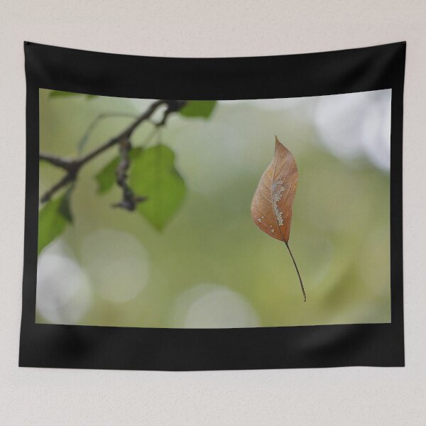 Item preview, Falling Leaf designed and sold by relayer51.