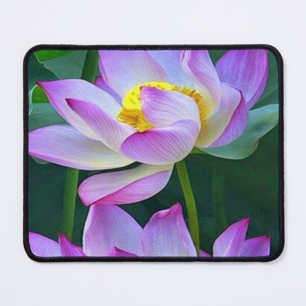 Item preview, Pink Lotus Flower designed and sold by NengShop.