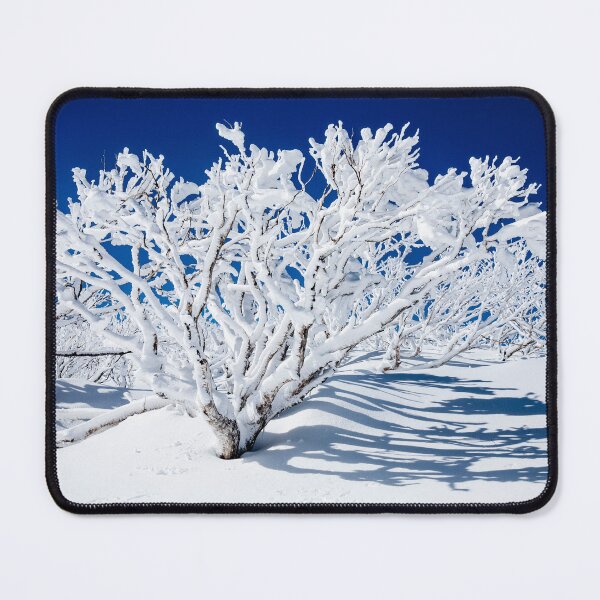 Item preview, Ice on snow gums - Guthega designed and sold by Jan Glover.