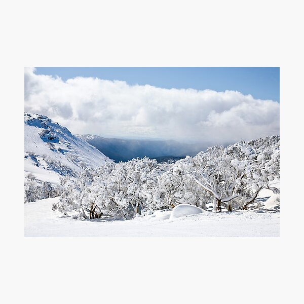 Ski runs Mt Blue Cow Photographic Print