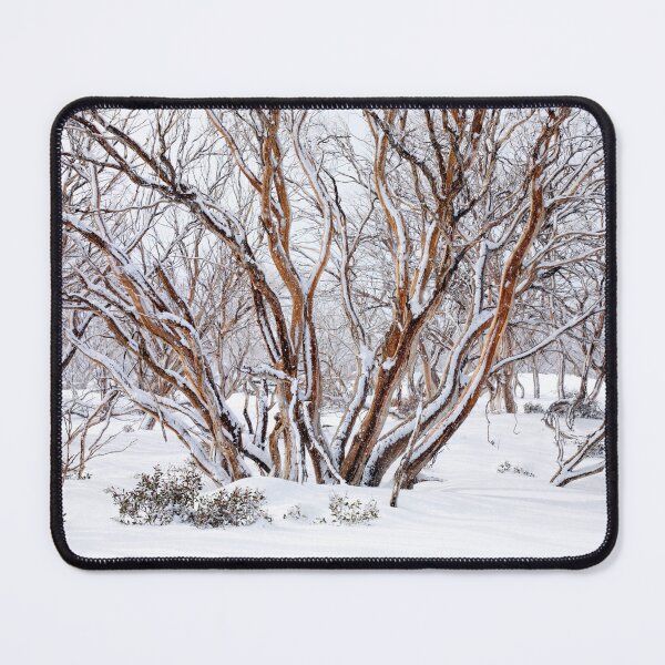 Item preview, Snowgums on the cross country trail Perisher designed and sold by Jan Glover.