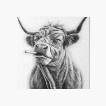 cow smoking a cigarette 