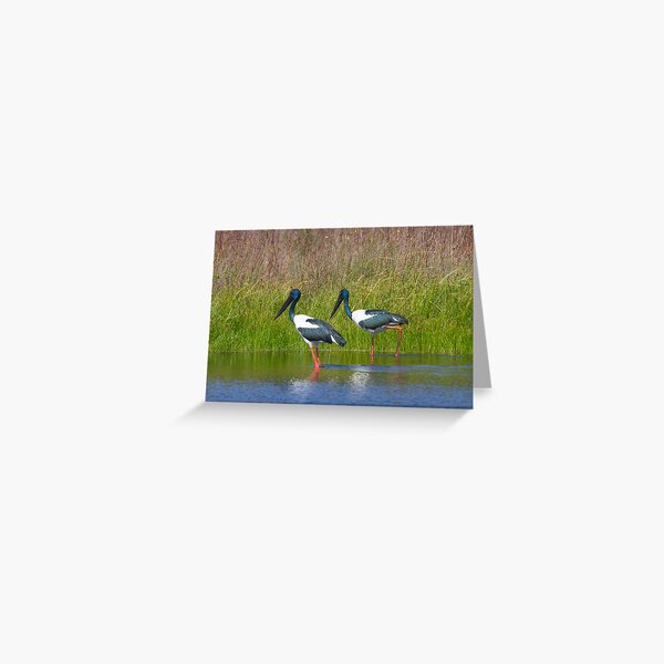 Item preview, Togetherness designed and sold by byronbackyard.