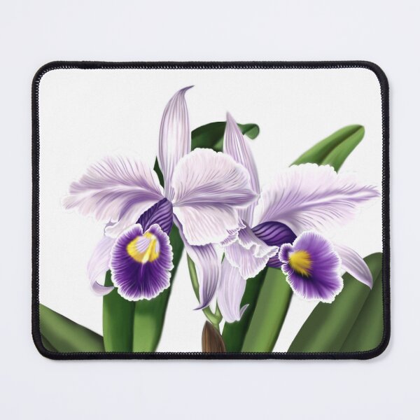 Item preview, Orchids designed and sold by Anthony Seeker.