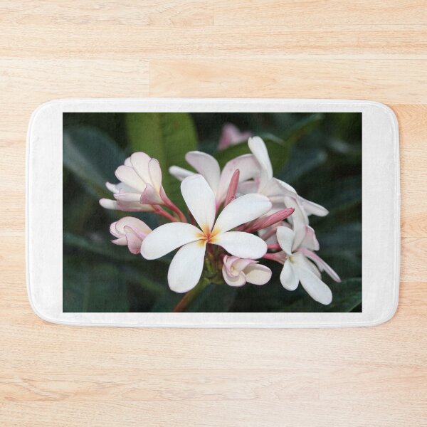 Item preview, Plumeria flowers on Hawaii designed and sold by SDym Photography.