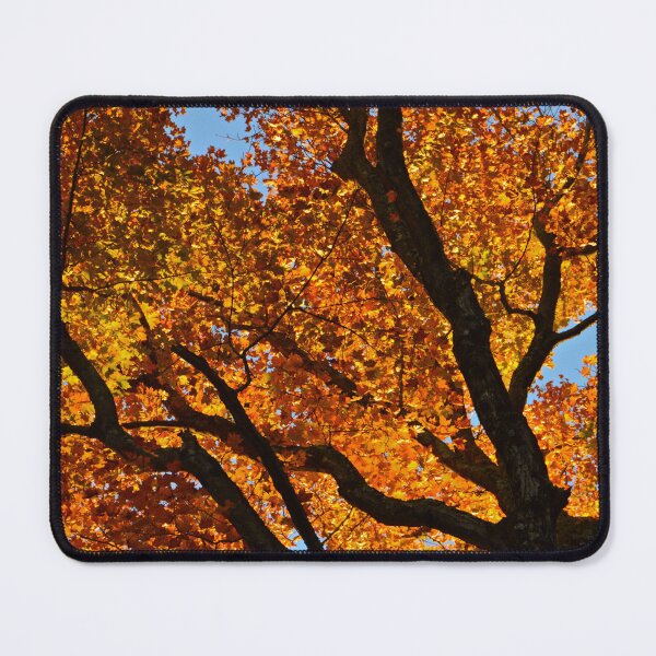 Item preview, Luminous Autumn Leaves designed and sold by Austin Wahl.