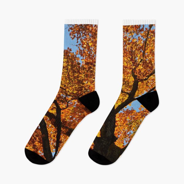 Item preview, Luminous Autumn Leaves designed and sold by Austin Wahl.