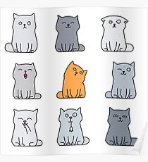 Nine cute kittens Poster