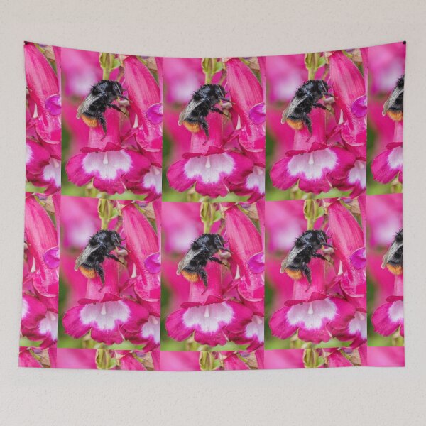 Item preview, Bee on Pink Flower........Lyme Dorset UK designed and sold by lynn carter.