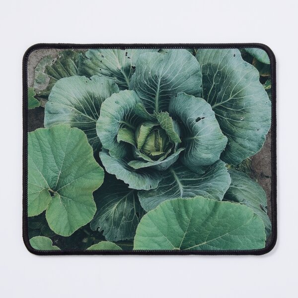 Item preview, Green leaf classic designed and sold by M1144.