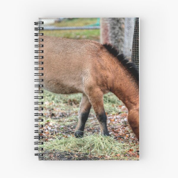 Item preview, Przewalski Horse designed and sold by Larry Trupp.