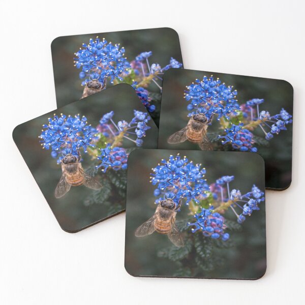 Item preview, Bee on Ceanothus designed and sold by Art in Nature.