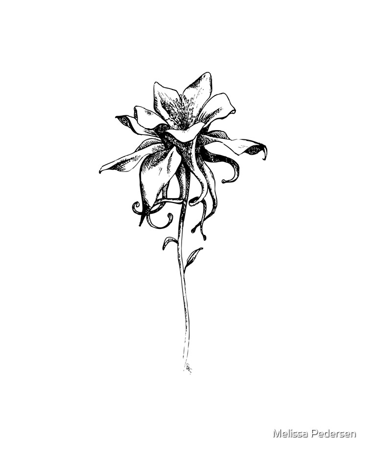 Columbine Flower Temporary Tattoo Sticker - OhMyTat