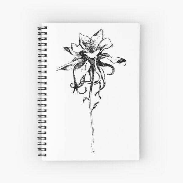 Black And White Marigold Flower Drawing Spiral Notebook By Melissapedersen Redbubble