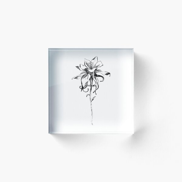 Item preview, Columbine Flower black and white art sketch designed and sold by Melissa Pedersen.