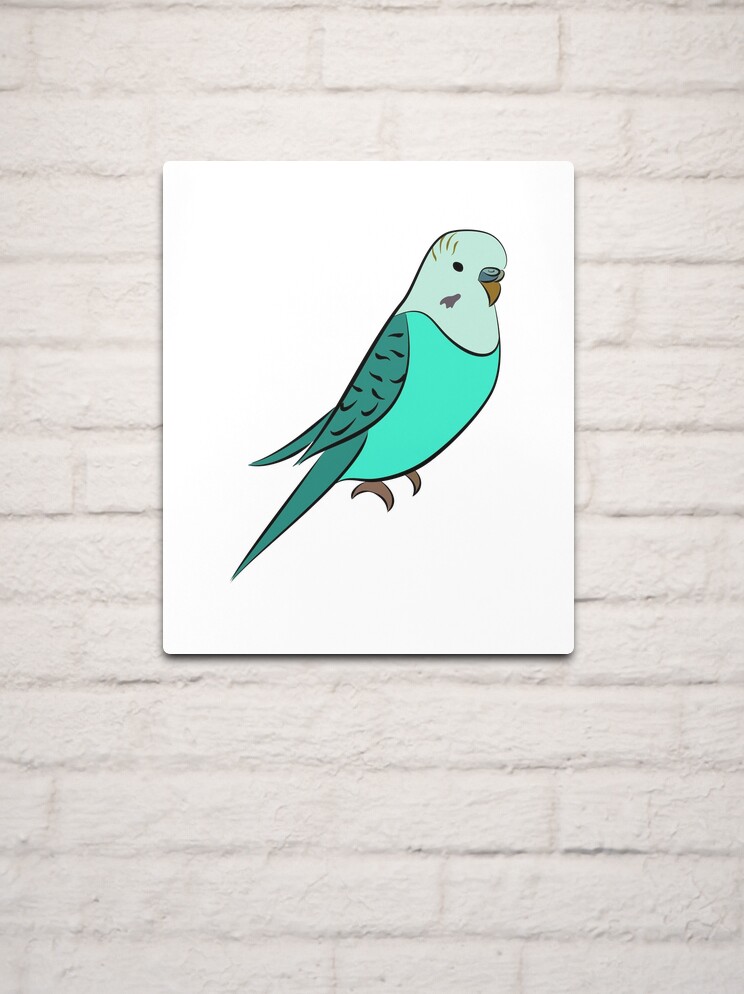 Turquoise budgie best sale