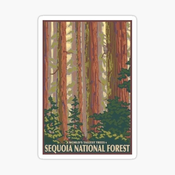 Item preview, Sequoia National Forest California USA Travel Decal designed and sold by MeLikeyTees.