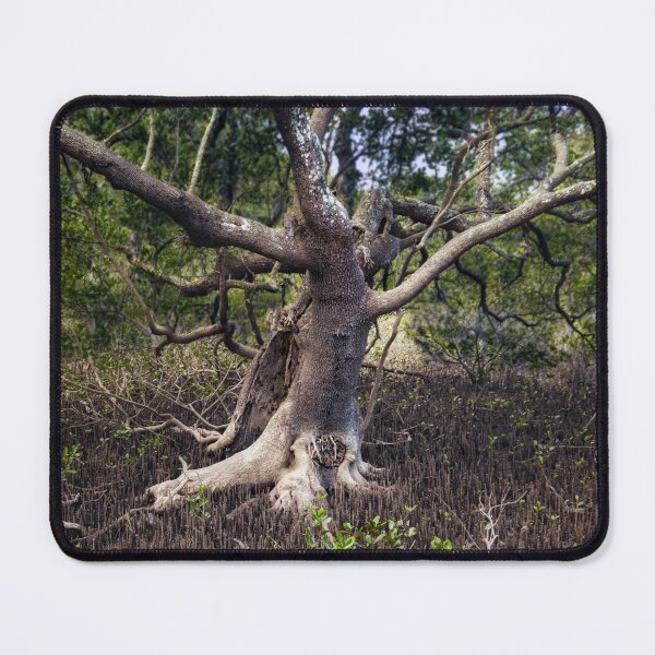 Item preview, The Mangrove Tree designed and sold by Rainphotography.