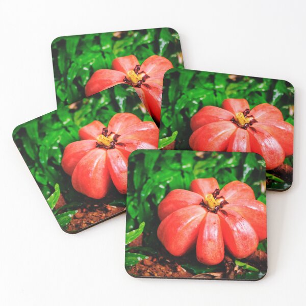 Item preview, The passionate pursuit of Garcinia, Framed print designed and sold by Lens Light Visuals.