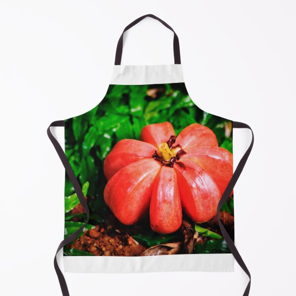 Item preview, The passionate pursuit of Garcinia, Framed print designed and sold by Lens Light Visuals.