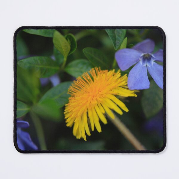 Item preview, Yellow dandelion on nature background designed and sold by olena2552.