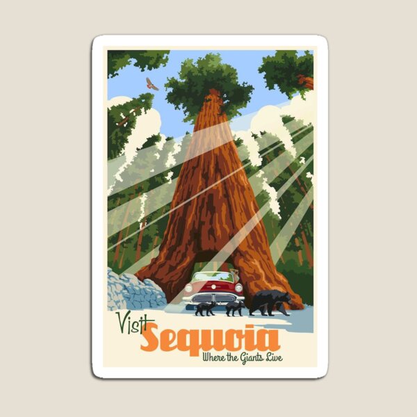 Sequoia National Park Magnet \u2014 Collectible Colorful & Waterproof! Sequoia National Park Magnet \u2014 Collectible Colorful & Waterproof!