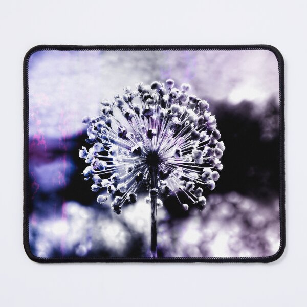 Item preview, Allium Giganteum Seed Head Digital Art 1 designed and sold by Taina Sohlman.