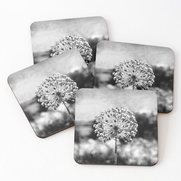 Item preview, Allium Giganteum Seed Head Monochrome 1 designed and sold by Taina Sohlman.