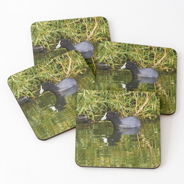 Item preview, Eurasian Coot designed and sold by Robert Elliott.