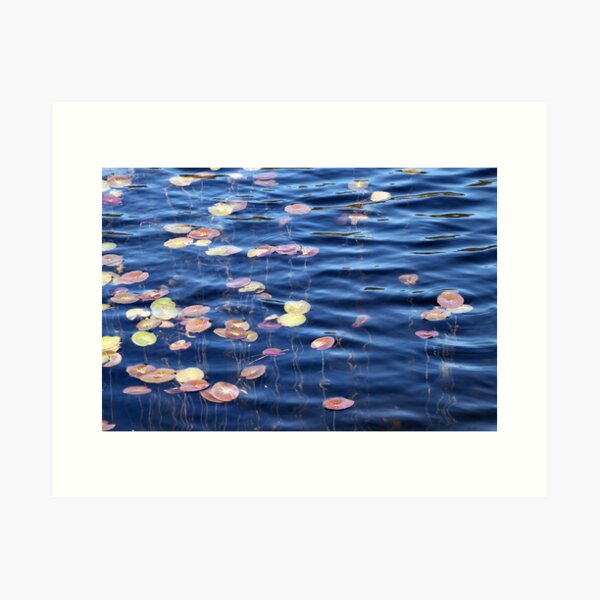 Item preview, Colourful reeds Rainbow lake 1 designed and sold by Jan Glover.