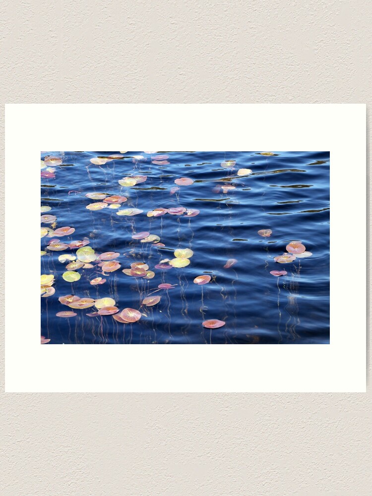 Thumbnail 1 of 3, Art Print, Colourful reeds Rainbow lake 1 designed and sold by janglover.
