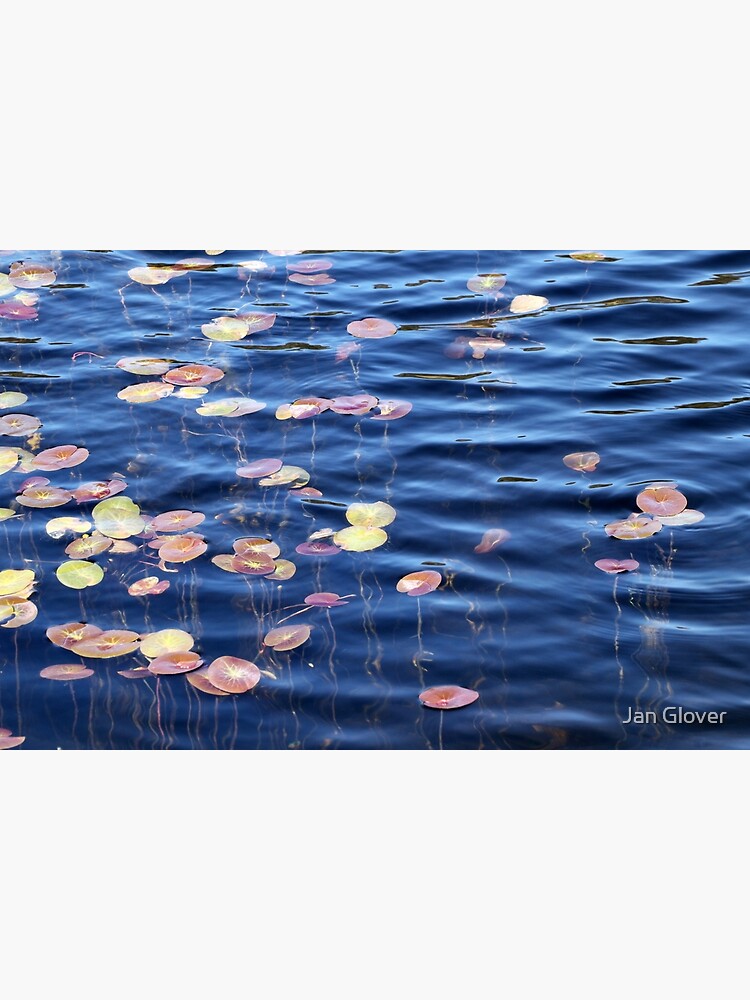 Thumbnail 3 of 3, Art Print, Colourful reeds Rainbow lake 1 designed and sold by janglover.