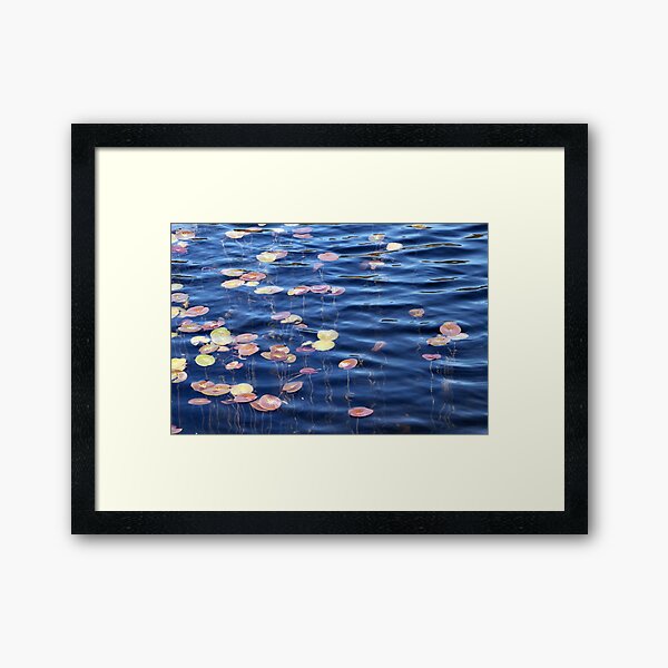 Item preview, Colourful reeds Rainbow lake 1 designed and sold by Jan Glover.