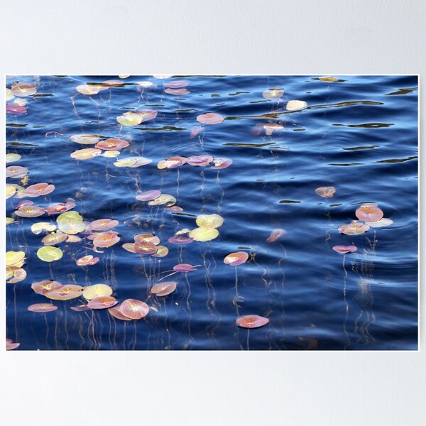 Item preview, Colourful reeds Rainbow lake 1 designed and sold by Jan Glover.