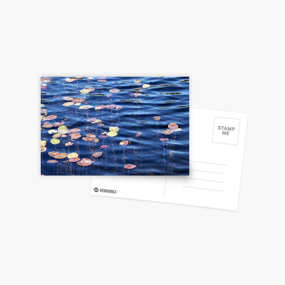 Item preview, Postcard designed and sold by janglover.