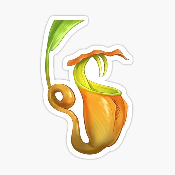 Nepenthes Bicalcarata Sticker