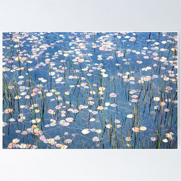 Item preview, Rainbow Lake 2 designed and sold by Jan Glover.