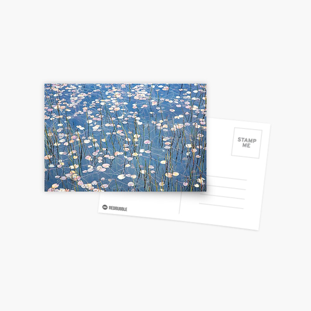 Item preview, Postcard designed and sold by janglover.