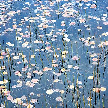 Artwork thumbnail, Rainbow Lake 2 by Jan Glover