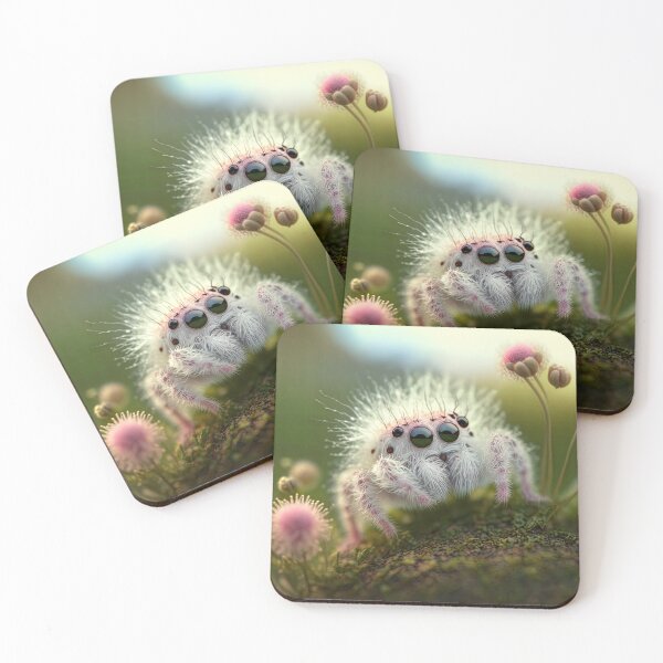 Item preview, cute fluffy jumping spider designed and sold by Avicularious.