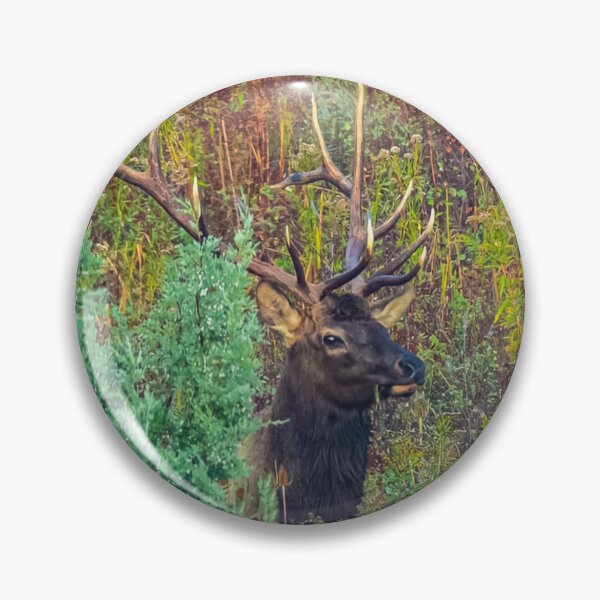 Item preview, Fall Delight Rocky Mountain Elk designed and sold by Rodney55.