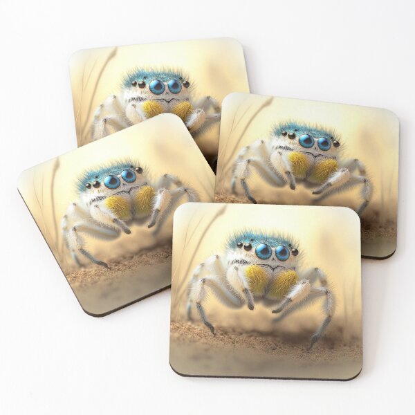 Item preview, cute fluffy jumping spider designed and sold by Avicularious.