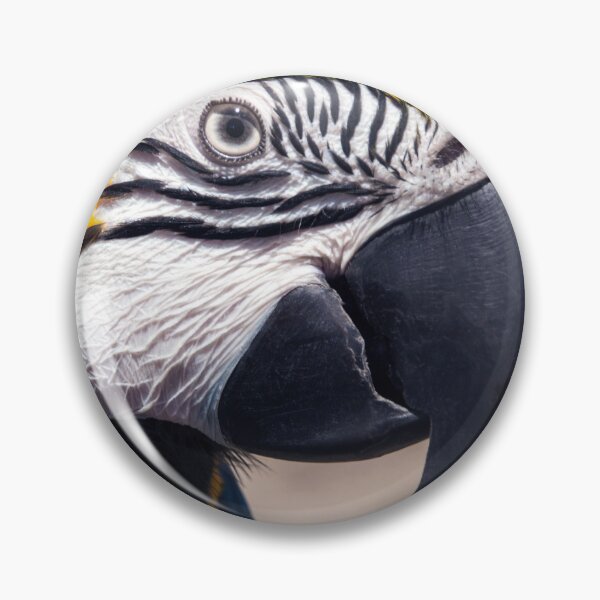 Item preview, Molly the Macaw  designed and sold by Rainphotography.
