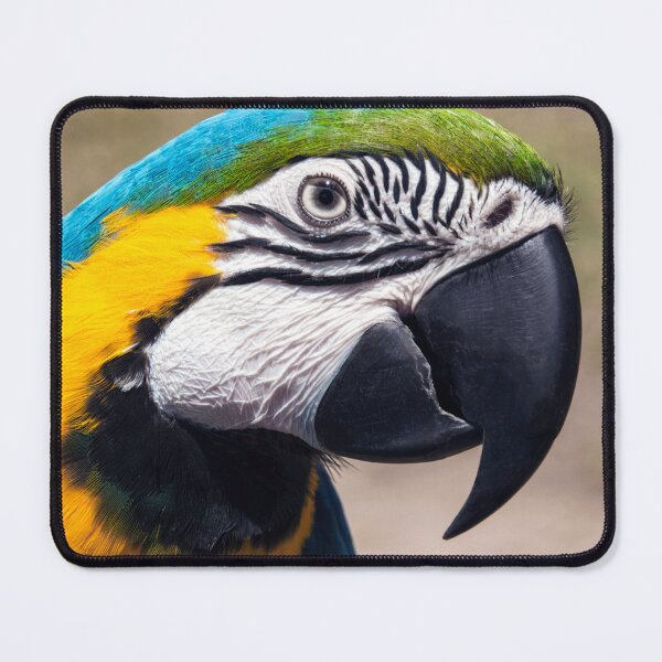 Item preview, Molly the Macaw  designed and sold by Rainphotography.