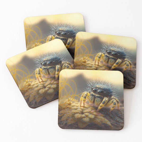 Item preview, cute fluffy jumping spider designed and sold by Avicularious.