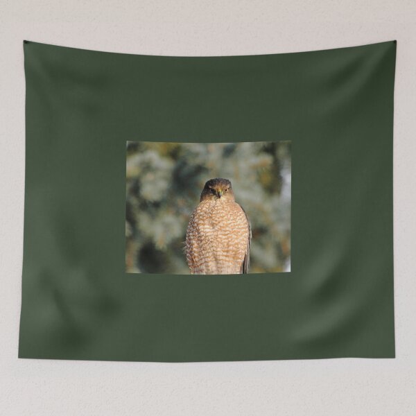 Item preview, The Glare designed and sold by Debbie Oppermann.