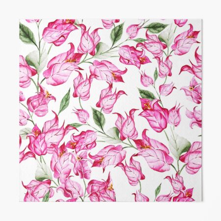 Seamless floral pattern with pink bougainvillea flower on climbing