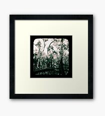 Bush Country Framed Print
