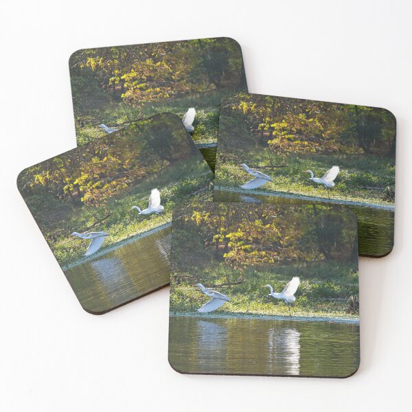 Item preview, Pair of Great Egrets Chasing around Lake designed and sold by ShorelineImages.